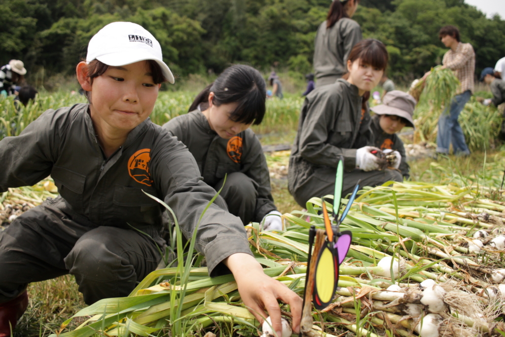 f:id:naokinoki777:20170516045234j:plain f:id:naokinoki777:20170516045234j:plain