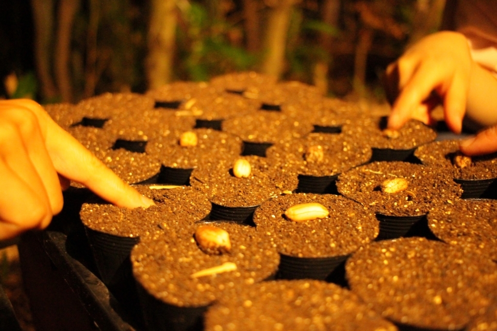 f:id:naokinoki777:20170824065431j:plain