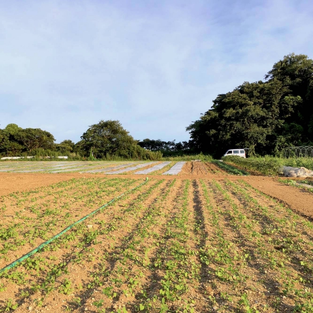 f:id:naokinoki777:20170827165813j:plain