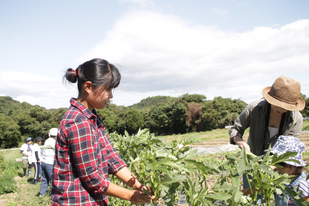 f:id:naokinoki777:20170919140936j:plain