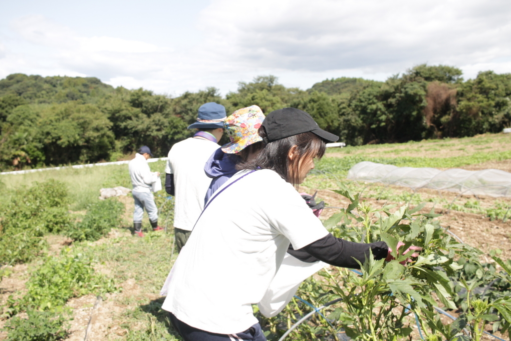 f:id:naokinoki777:20170919140940j:plain