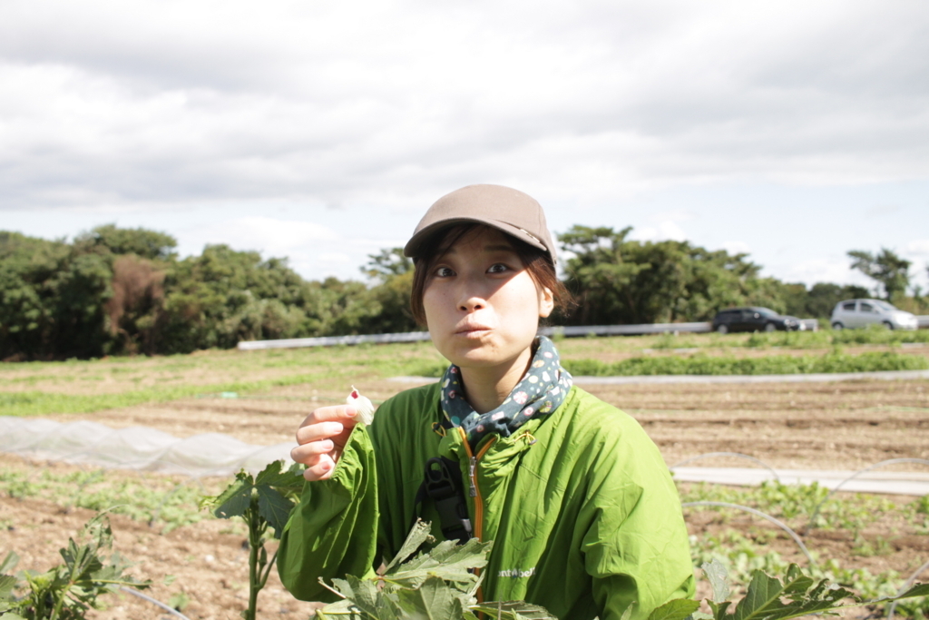 f:id:naokinoki777:20170919141048j:plain