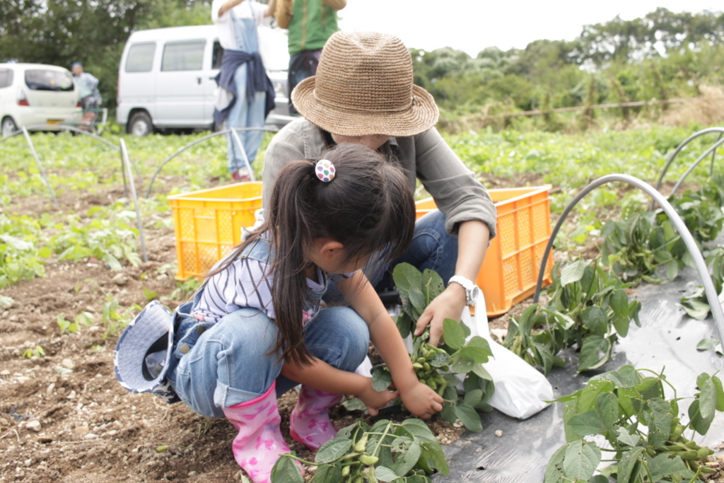 f:id:naokinoki777:20170919142050j:plain