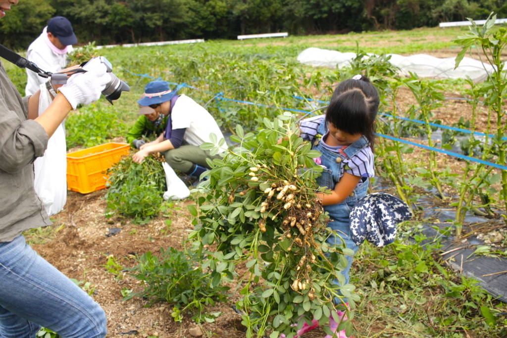 f:id:naokinoki777:20170919142400j:plain