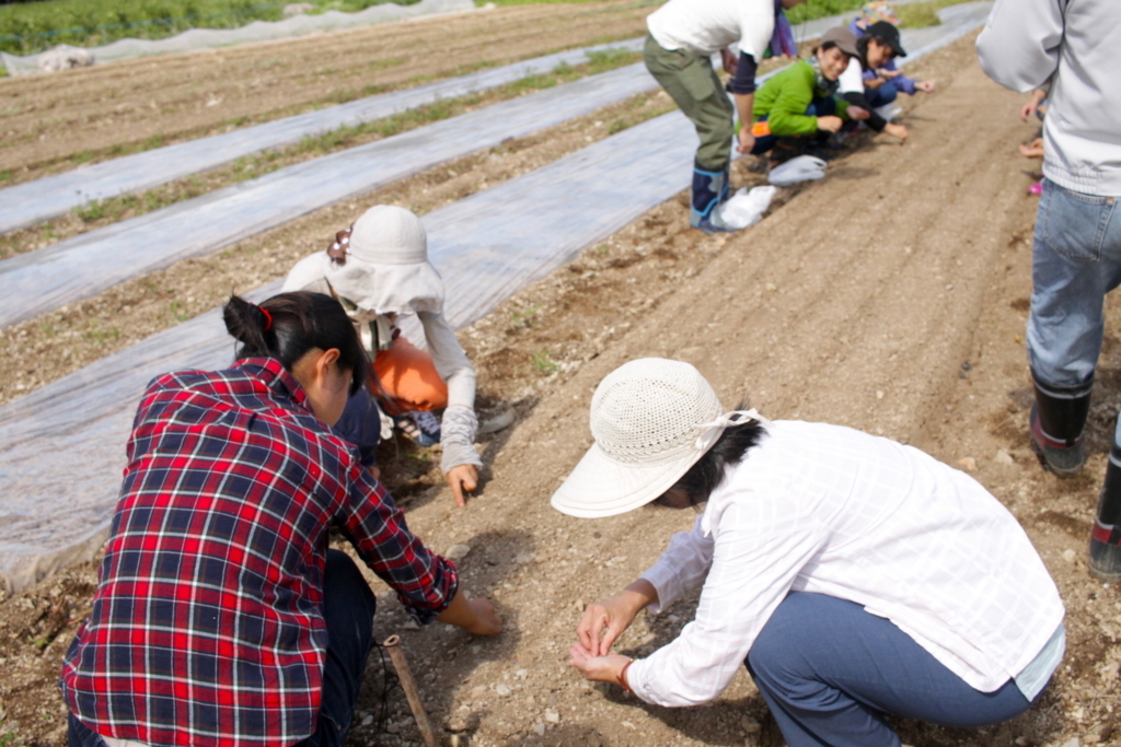 f:id:naokinoki777:20170919142500j:plain