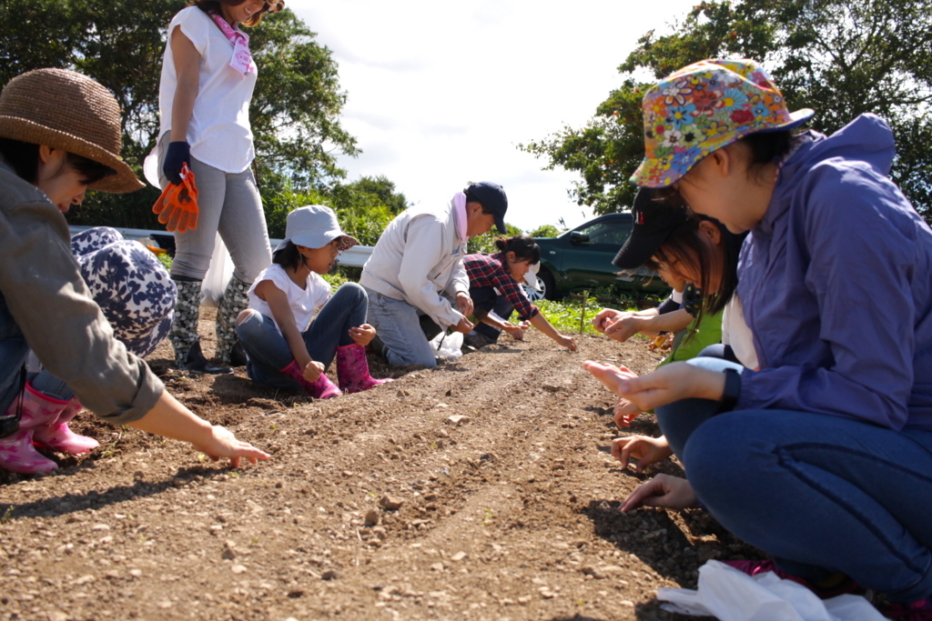 f:id:naokinoki777:20170919142528j:plain