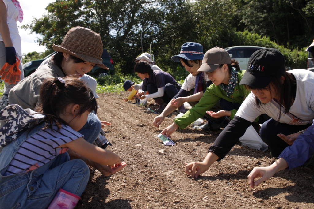 f:id:naokinoki777:20170919142544j:plain