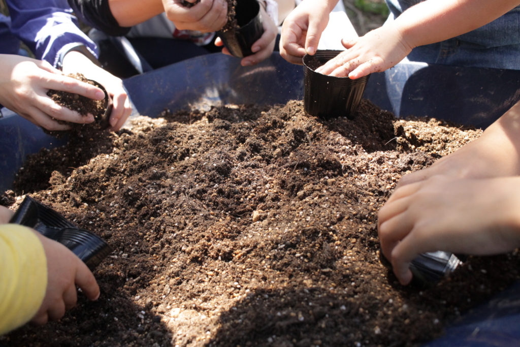 f:id:naokinoki777:20170919142633j:plain