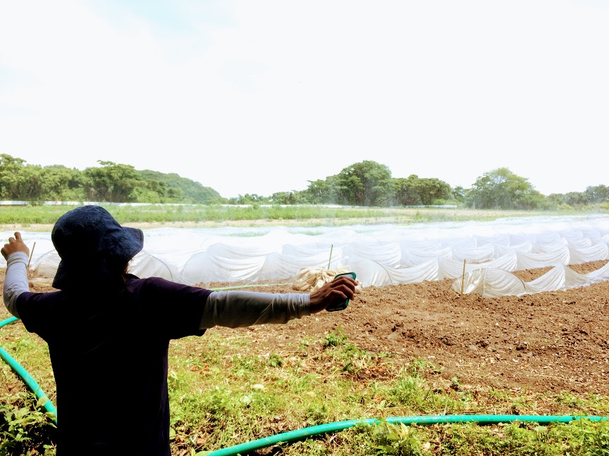 f:id:naokinoki777:20180624204529j:plain f:id:naokinoki777:20180624204529j:plain