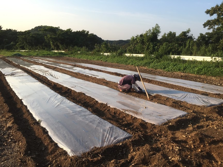 f:id:naokinoki777:20180830064241j:plain f:id:naokinoki777:20180830064241j:plain