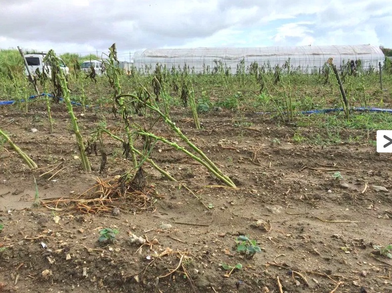 f:id:naokinoki777:20180907214026j:plain f:id:naokinoki777:20180907214026j:plain