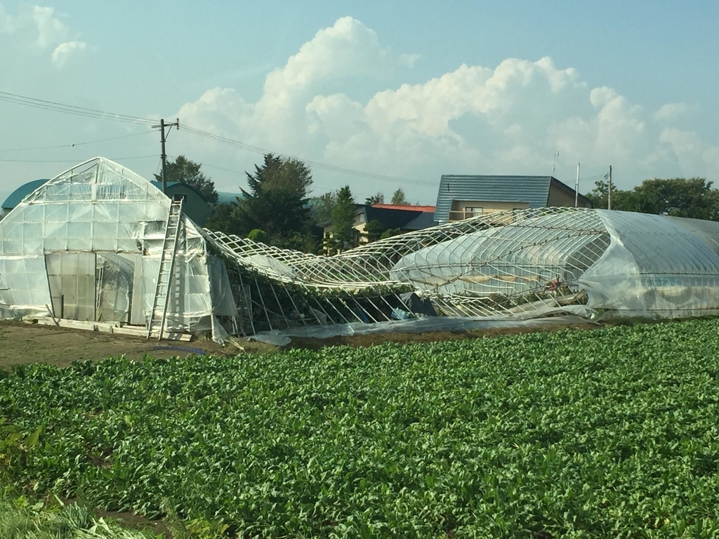 f:id:naokinoki777:20180907214235j:plain f:id:naokinoki777:20180907214235j:plain