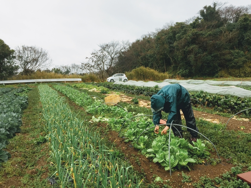 f:id:naokinoki777:20180912223059j:plain f:id:naokinoki777:20180912223059j:plain