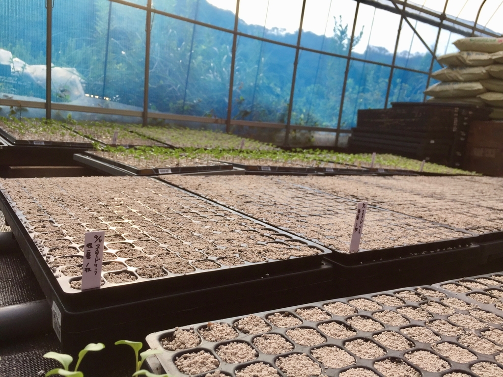 f:id:naokinoki777:20180914063943j:plain