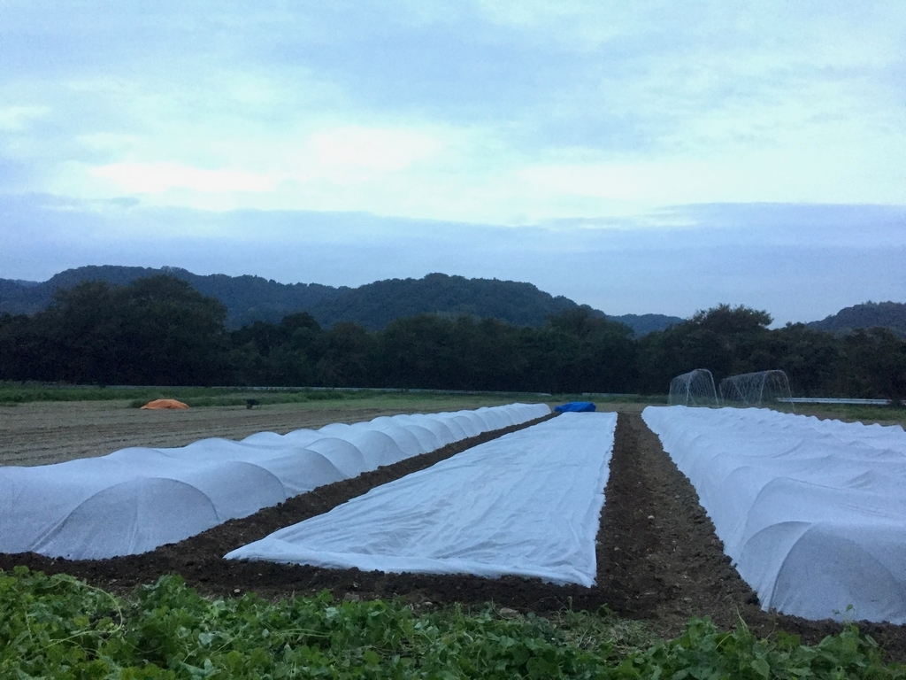 f:id:naokinoki777:20181008222247j:plain