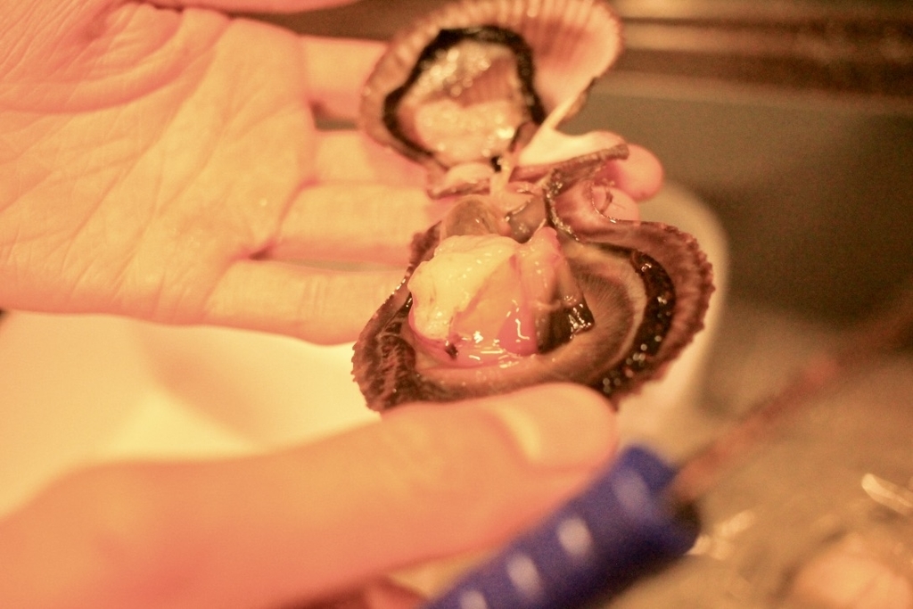 f:id:naokinoki777:20181205210913j:plain