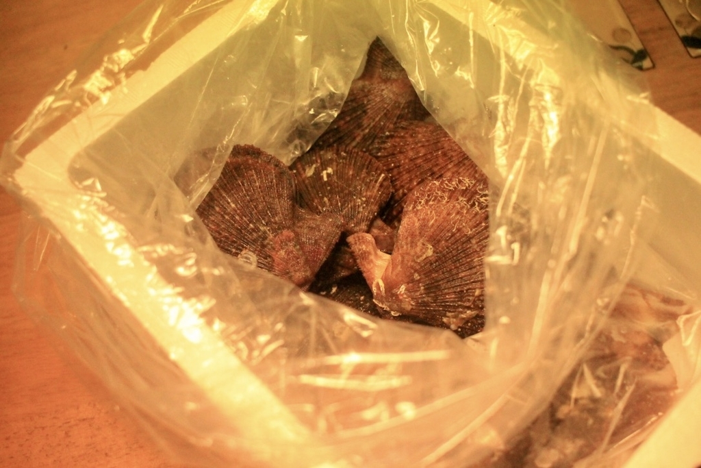 f:id:naokinoki777:20181205213005j:plain