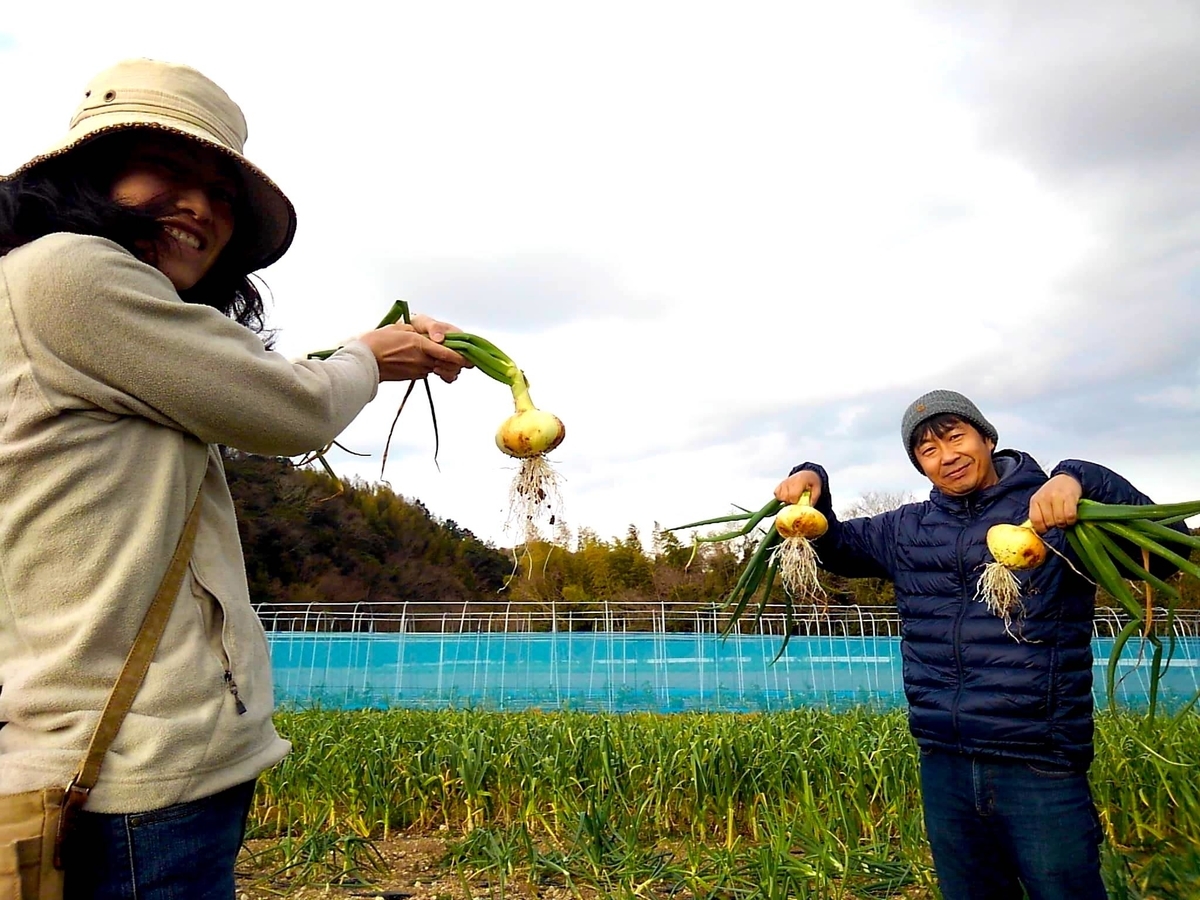 f:id:naokinoki777:20190325175636j:plain