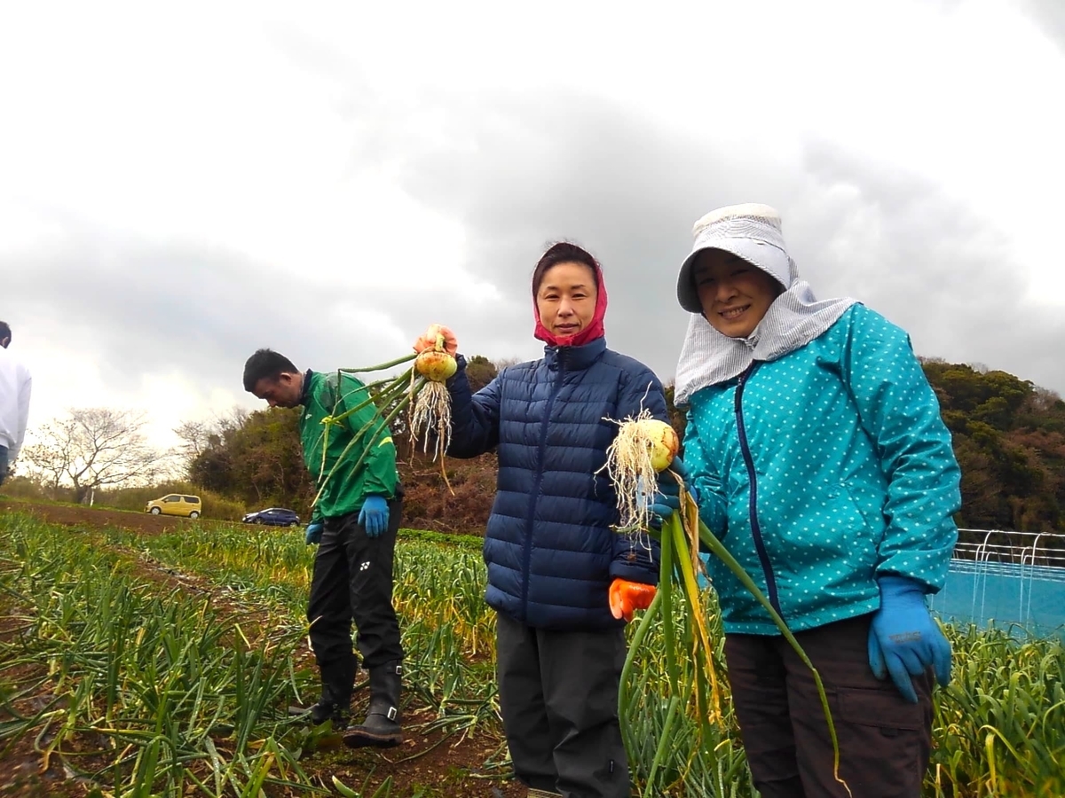 f:id:naokinoki777:20190401070216j:plain