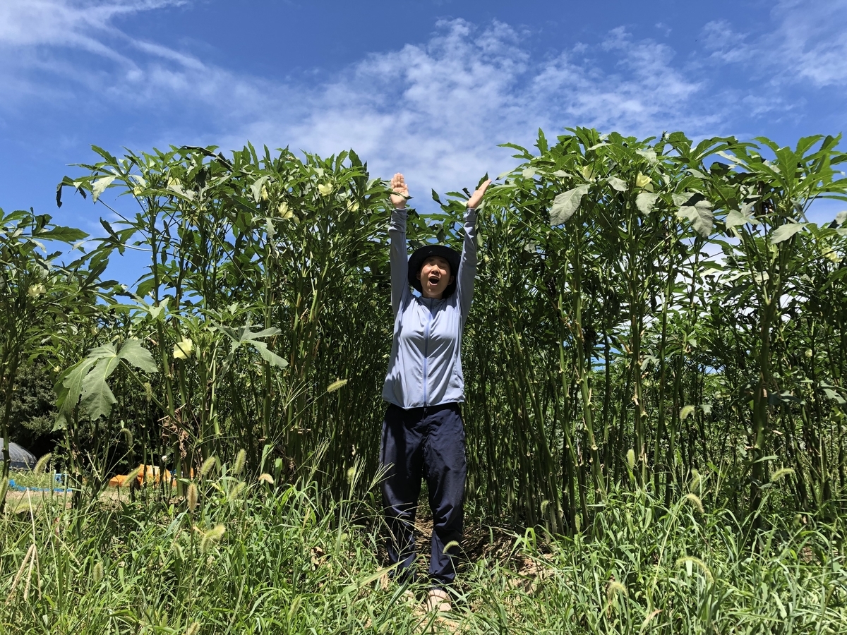 f:id:naokinoki777:20190829220437j:plain f:id:naokinoki777:20190829220437j:plain