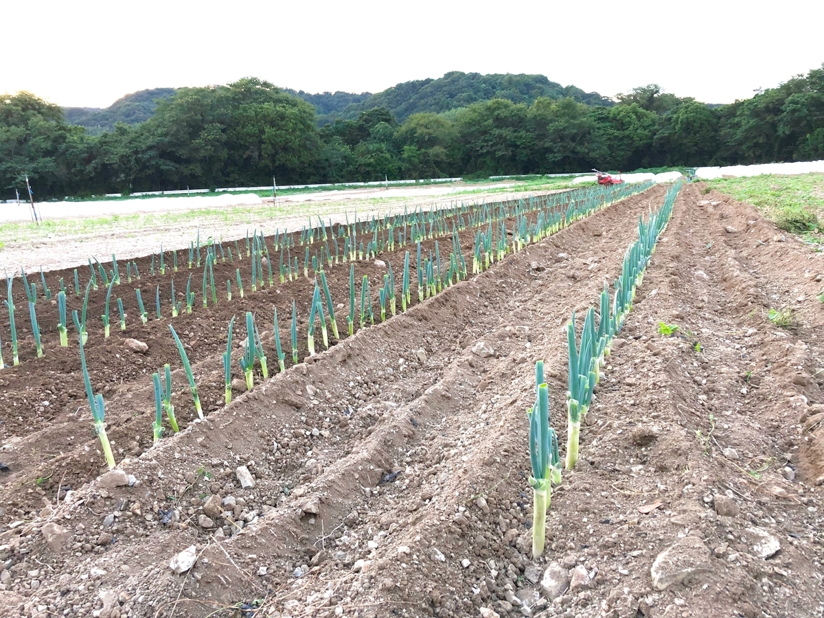 f:id:naokinoki777:20190924234044j:plain f:id:naokinoki777:20190924234044j:plain