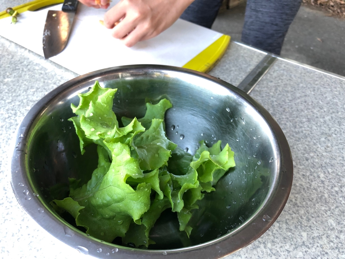 f:id:naokinoki777:20191007114559j:plain f:id:naokinoki777:20191007114559j:plain