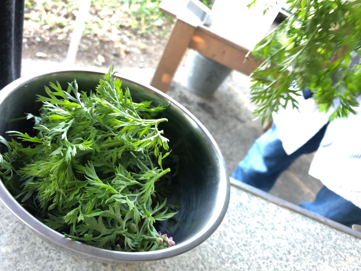 f:id:naokinoki777:20191007114627j:plain f:id:naokinoki777:20191007114627j:plain