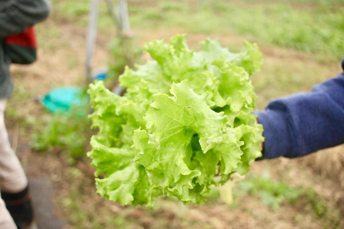 f:id:naokinoki777:20191020132339j:plain f:id:naokinoki777:20191020132339j:plain