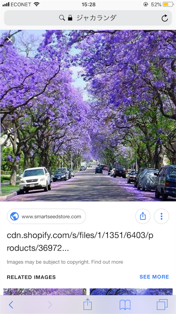 f:id:naokitaniyama19930827:20180904222840p:image f:id:naokitaniyama19930827:20180904222840p:image