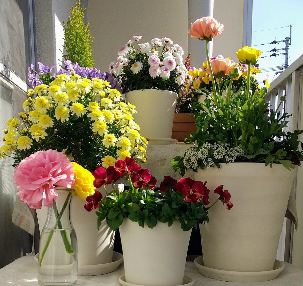 f:id:naoko-rin:20220313201914j:plain