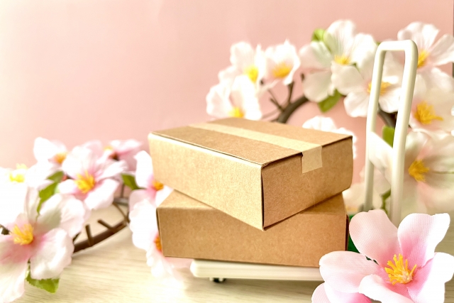 f:id:naoko-rin:20220314235921j:plain