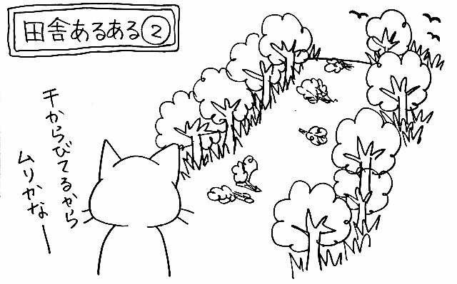 f:id:naoko-ushiki:20160828235842j:image f:id:naoko-ushiki:20160828235842j:image