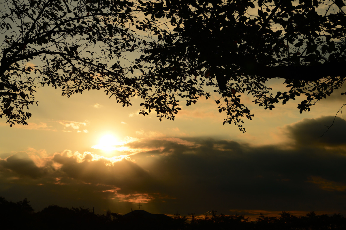 f:id:naoko0703:20210422225638j:plain
