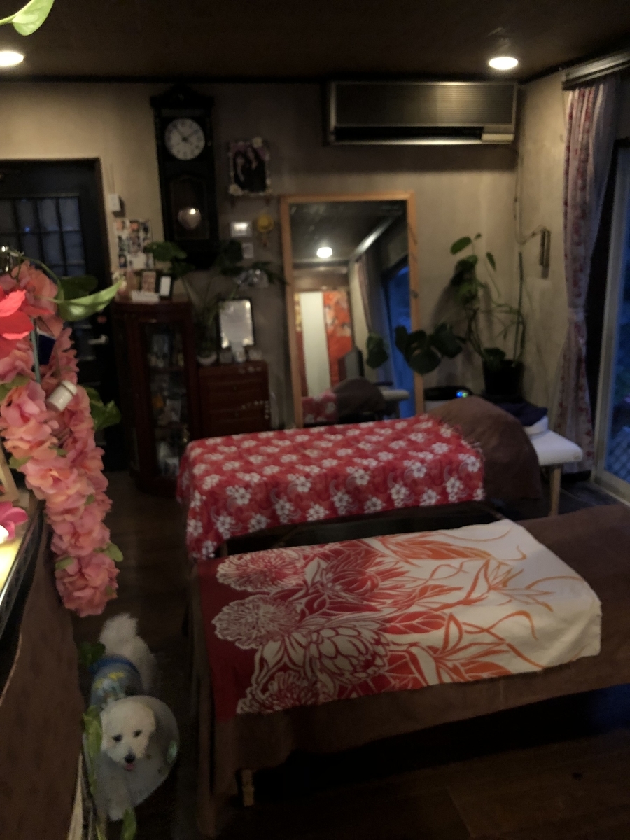 f:id:naoko8746:20190629002647j:plain