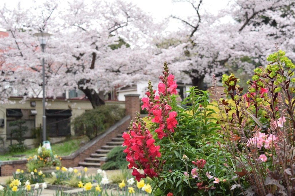 f:id:naokofff:20160405185654j:image f:id:naokofff:20160405185654j:image