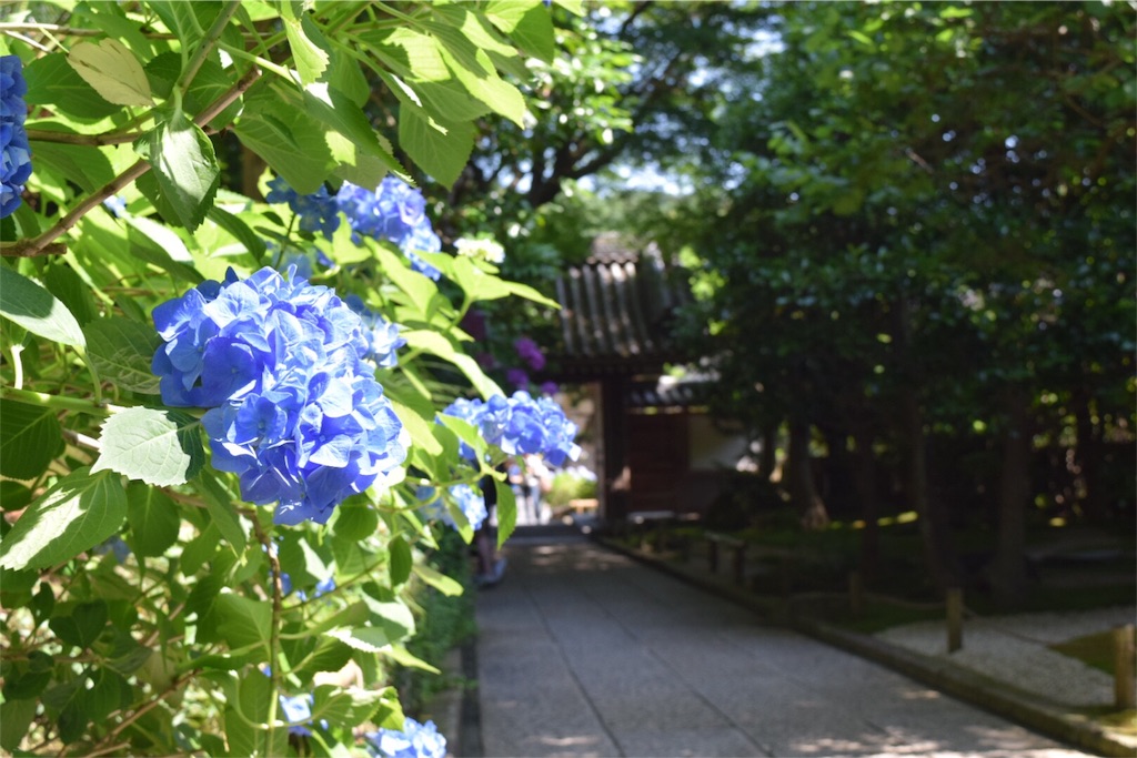 f:id:naokofff:20160621151409j:image