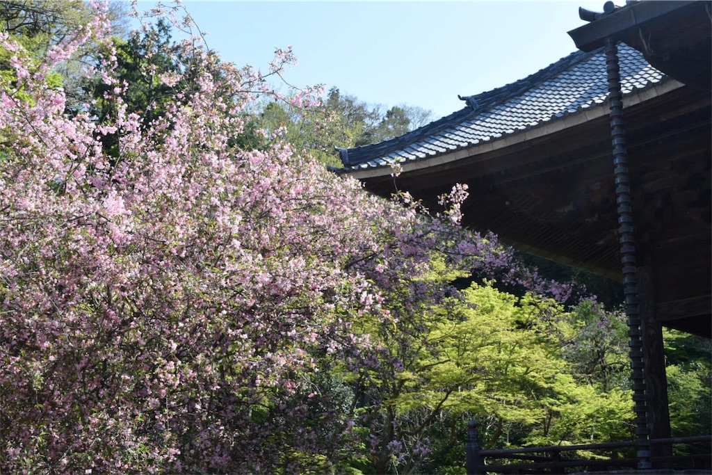 f:id:naokofff:20170416130420j:image