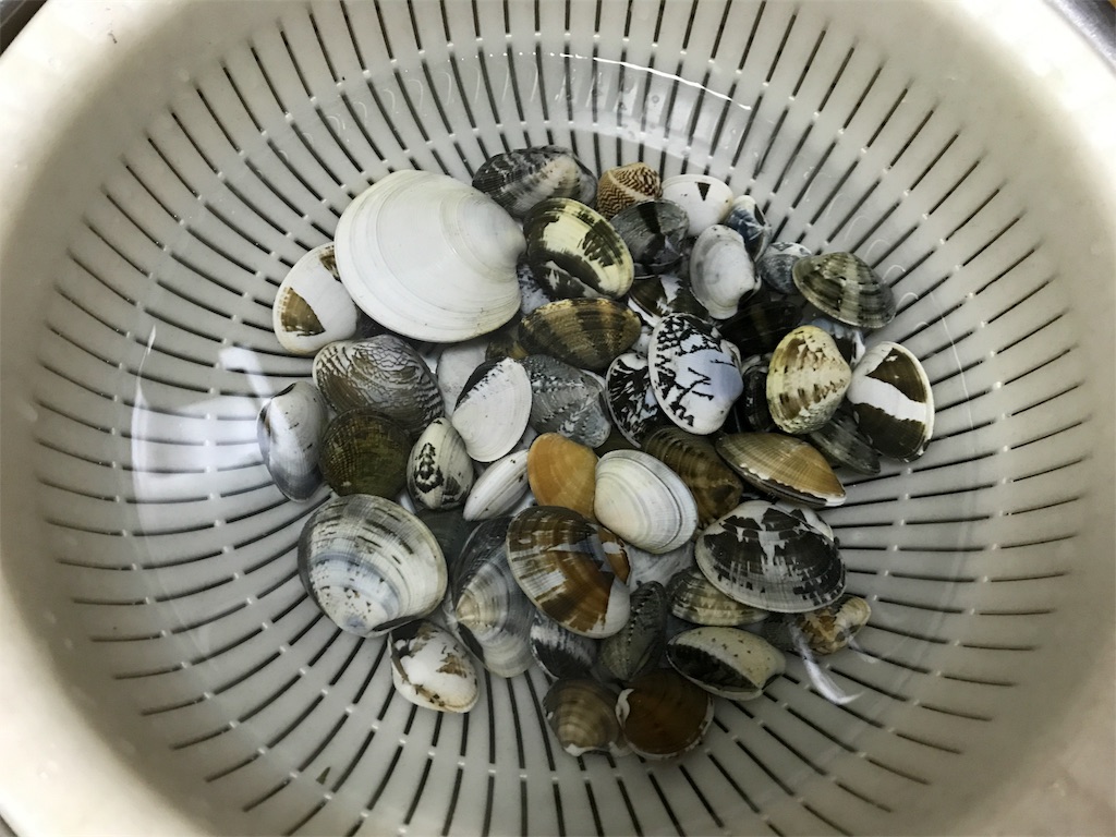 f:id:naokofff:20170430215023j:image