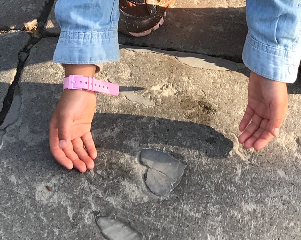 f:id:naokofff:20170510155753j:image f:id:naokofff:20170510155753j:image