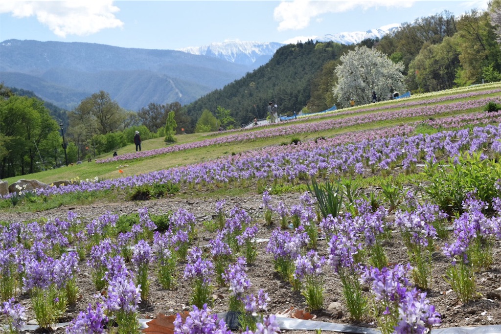 f:id:naokofff:20170515165740j:image