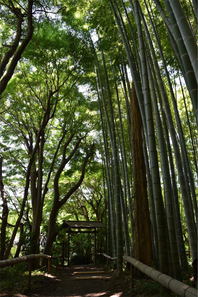 f:id:naokofff:20170523162031j:image