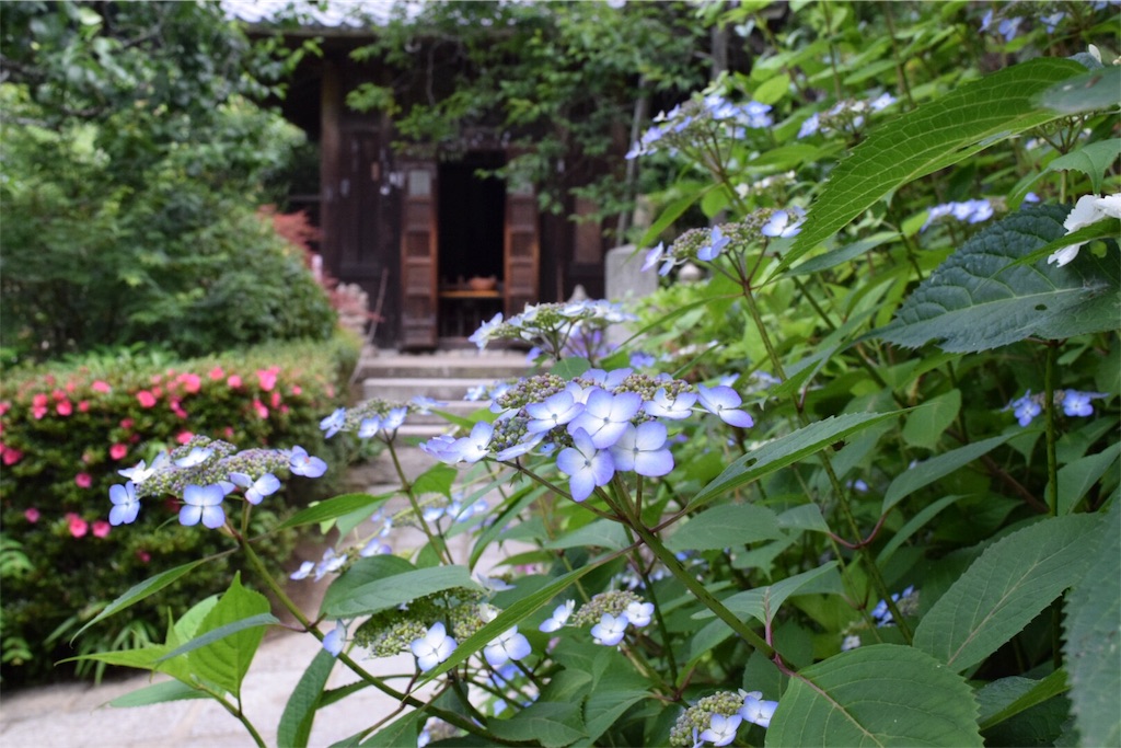 f:id:naokofff:20170606154309j:image