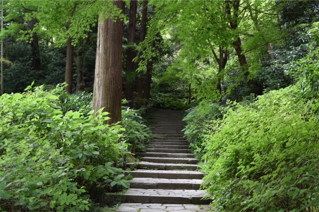 f:id:naokofff:20170606154417j:image