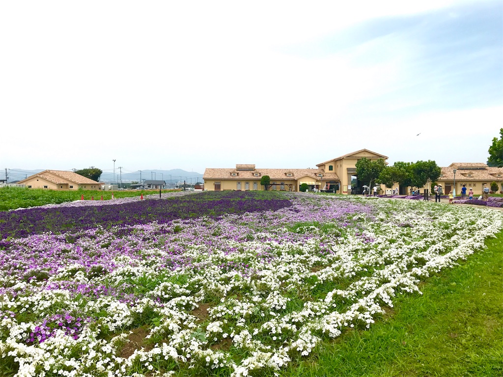 f:id:naokofff:20170716131621j:image