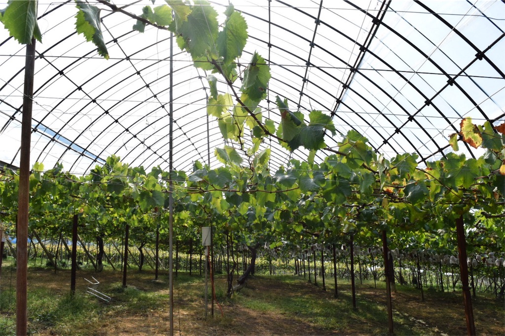 f:id:naokofff:20171009154714j:image