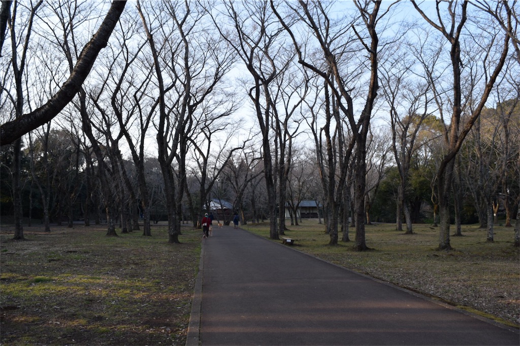 f:id:naokofff:20180208224745j:image