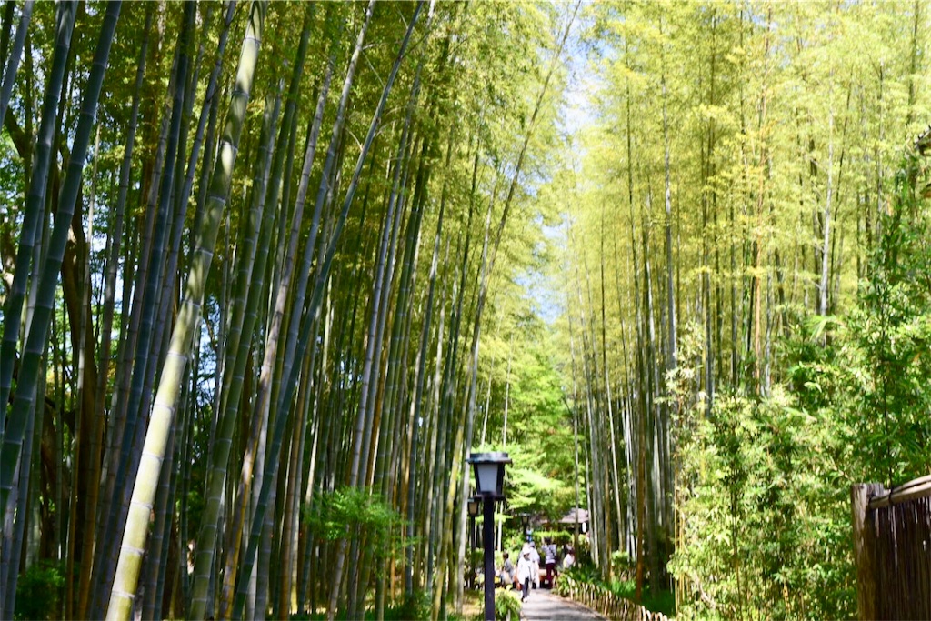 f:id:naokofff:20180619184859j:image