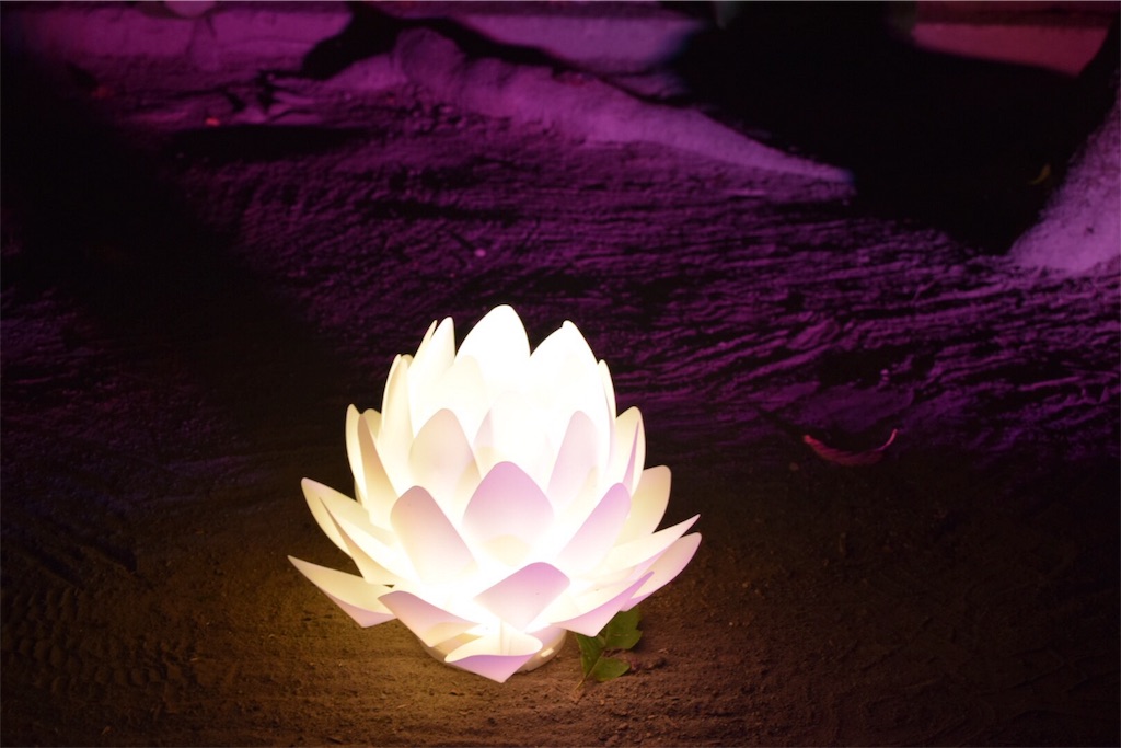 f:id:naokofff:20180825081900j:image