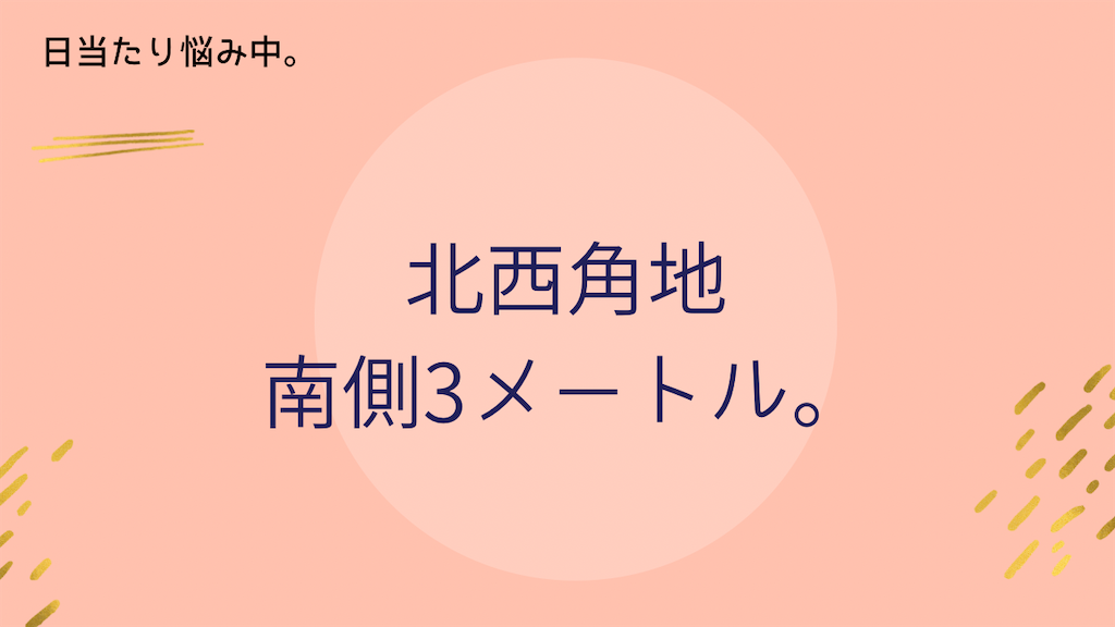 f:id:naokofff:20210219124332p:image f:id:naokofff:20210219124332p:image