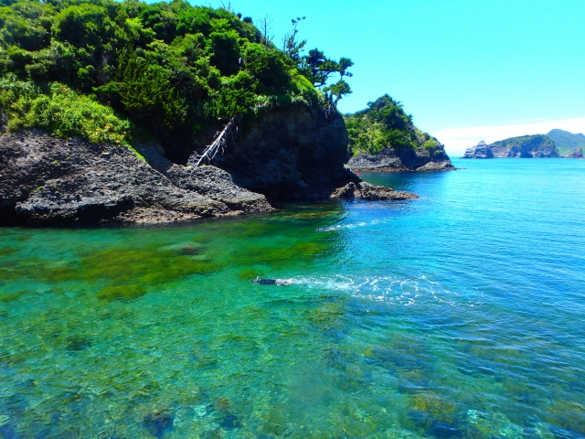 f:id:naokofff:20210706094647j:plain